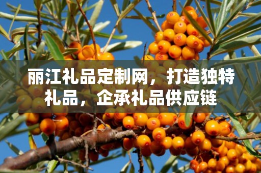 丽江礼品定制网，打造独特礼品，企承礼品供应链